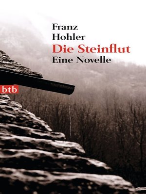 cover image of Die Steinflut